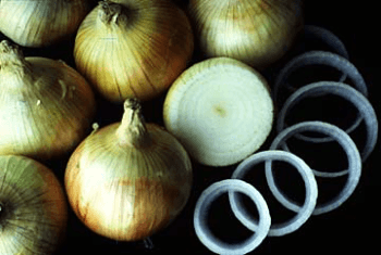 onion
