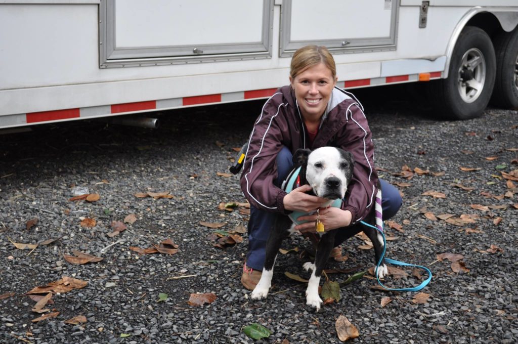 Twelve members of the VET team and seven AgriLife Extension agents from across Texas worked at the Del Oro Emergency Animal Shelter in Oroville, California to provide assistance in managing and caring for animals affected by wildfires in the area.