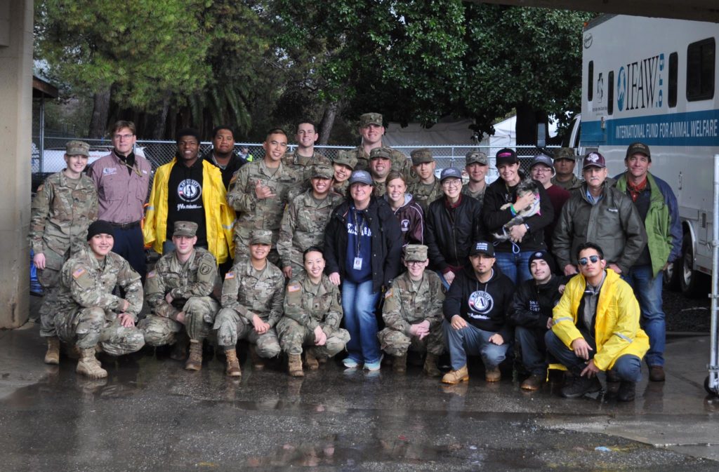 Twelve members of the VET team and seven AgriLife Extension agents from across Texas worked at the Del Oro Emergency Animal Shelter in Oroville, California to provide assistance in managing and caring for animals affected by wildfires in the area.