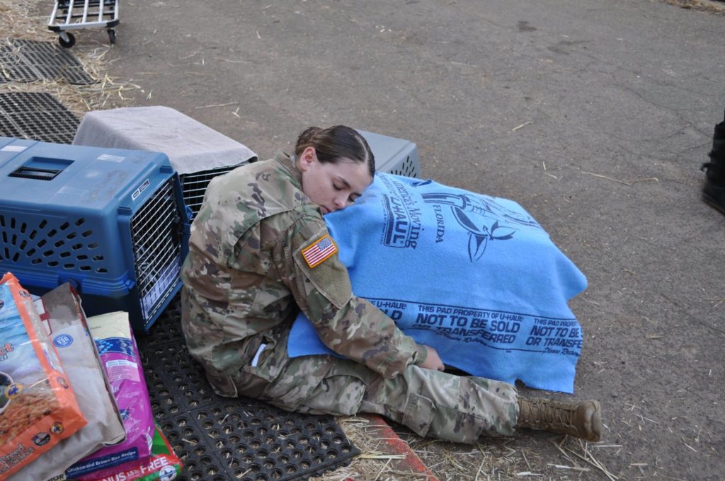Twelve members of the VET team and seven AgriLife Extension agents from across Texas worked at the Del Oro Emergency Animal Shelter in Oroville, California to provide assistance in managing and caring for animals affected by wildfires in the area.
