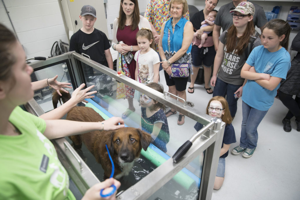 Vet School Open House 2018.