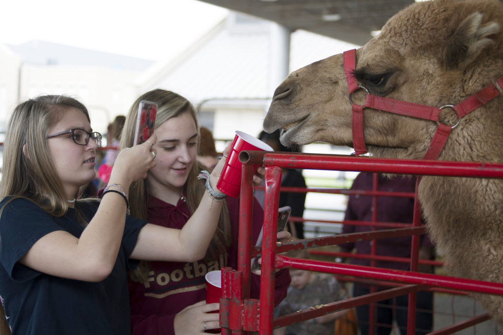 Vet School Open House 2018.