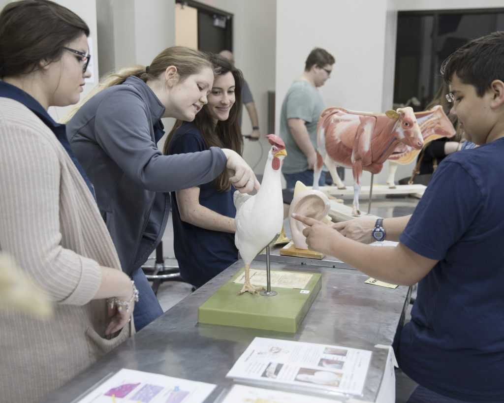 Vet School Open House 2018.