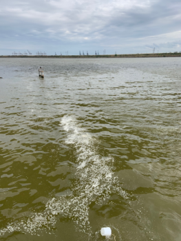 Bucket sampling of foam and a (shiny) surface slick of water in the Houston Shipping Channel near Alexander Island.