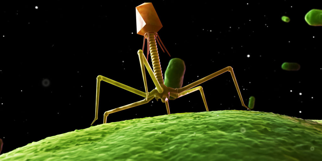 Bacteriophage, computer artwork.