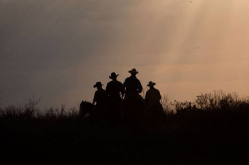 unbranded