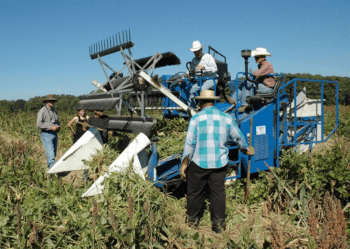 agriculture