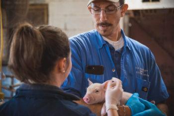 Dr. Brandon Dominguez and fourth-year veterinary student Victoria Mundo