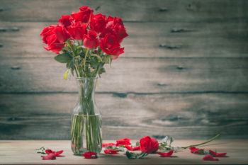 roses