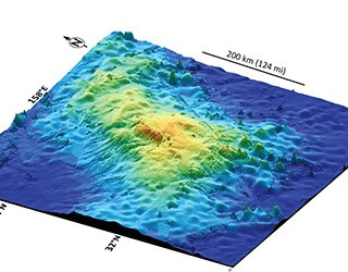 Tamu massif
