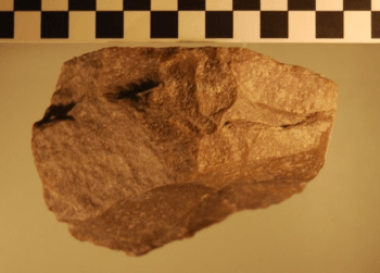 Core tool associated with the camel.