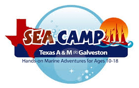 sea camp