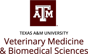 tamu cvm