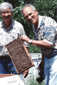 Bryant & bees