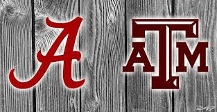 bama tamu