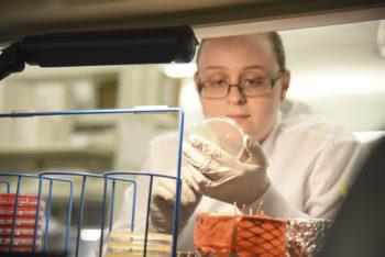 Researcher inside the Texas A&M Veterinary Medical Diagnostic Laboratory