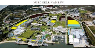 Mitchell campus - Galveston - pelican island