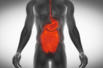 human gut - intestines