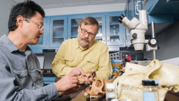 Qian Wang, Ph.D. and Paul Dechow, Ph.D.