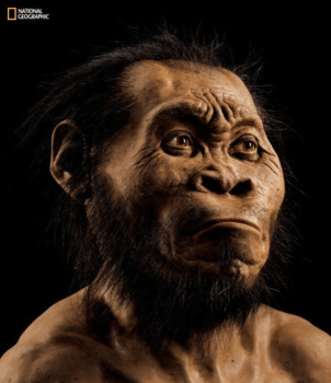 Homo Naledi - early human