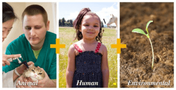 animal human environmental