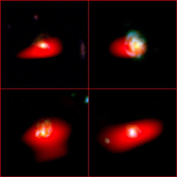 Composite image of the molecular gas (indicated in red), superimposed on Hubble Space Telescope images of the four young Milky Way-like galaxies studied by Texas A&M astronomer Casey Papovich and his collaborators using ALMA.
