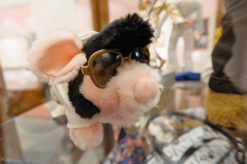 Elvis pig