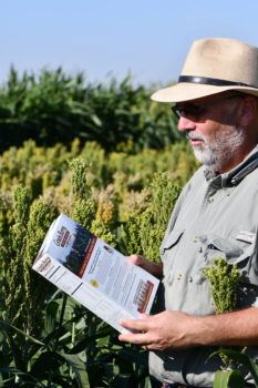 Bill Rooney, Ph.D., looks at the back of a box of Grain Berry cereal
