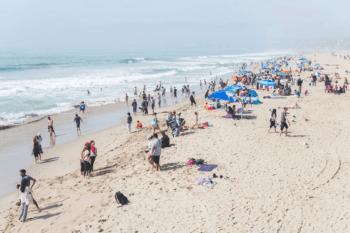 people on a sandy beach