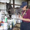Veterinary Emergency Team member writes on container with horse in background