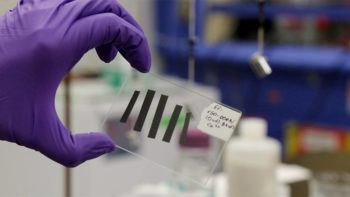 Paraskevi Flouda holds sample of new electrode.
