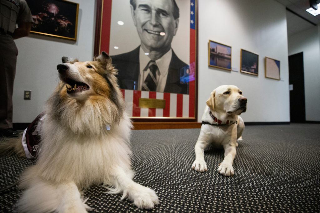 Reveille and sully