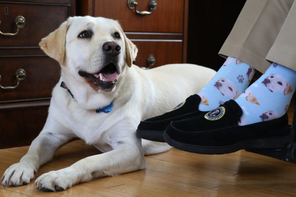 Sully and Sully socks