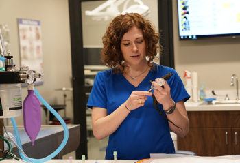 a veterinarian holding a small reptile injects it with a sedative