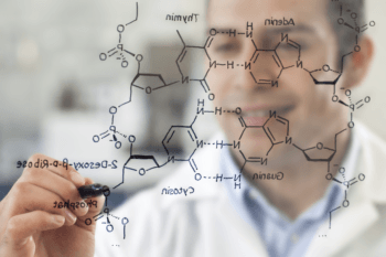 Researcher drawing on board.