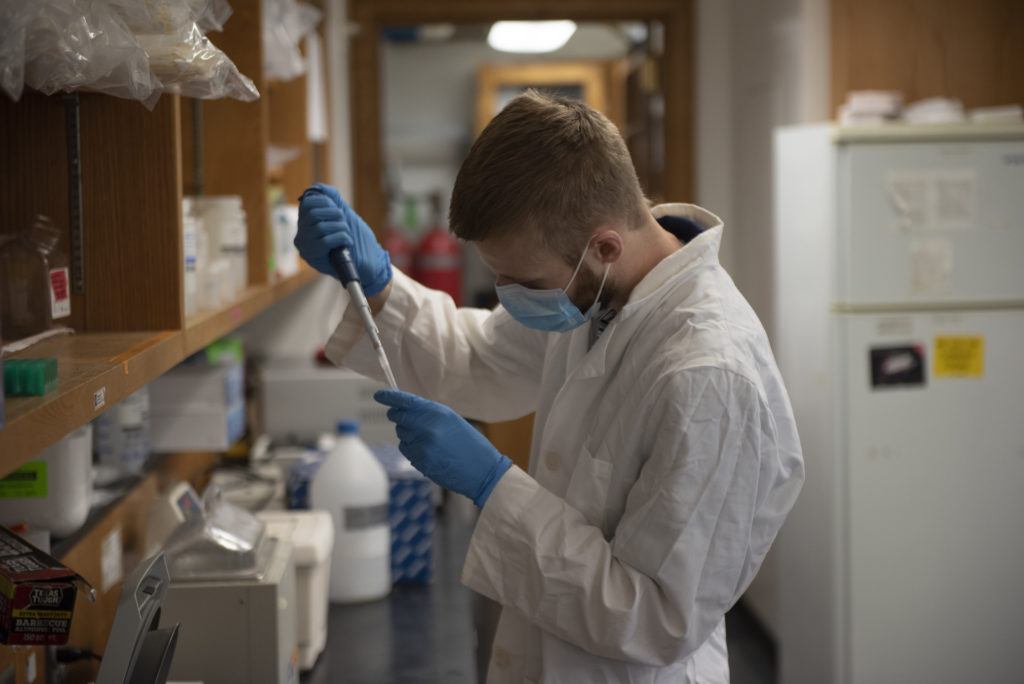 student in Liu lab conducting tests