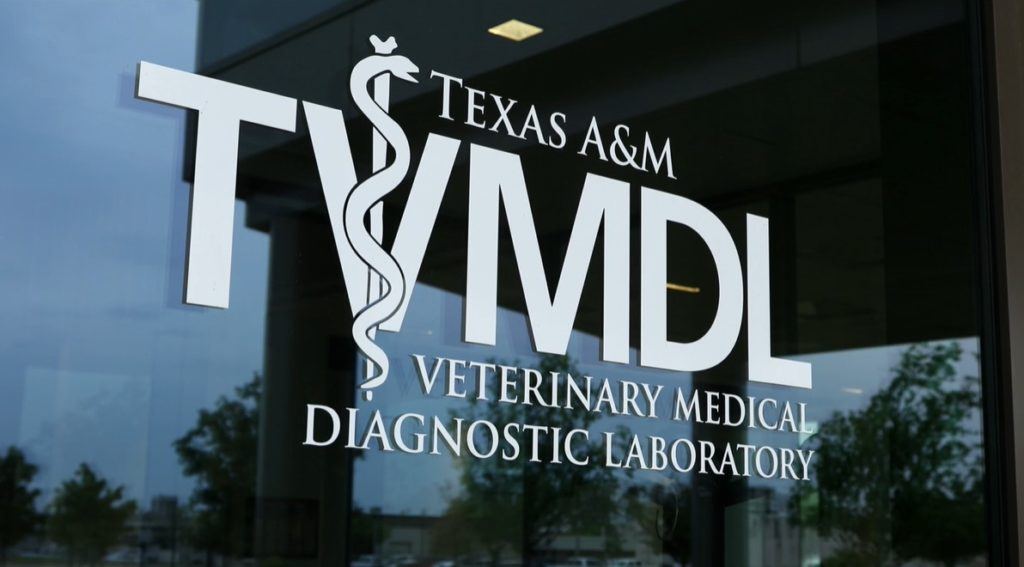 TVMDL logo on door of building