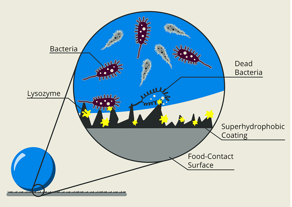 Illustration showing Akbulut’s dual-function coating that is both superhydrophobic and antimicrobial.