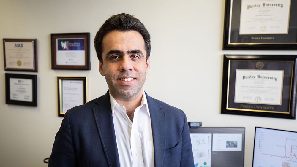 portrait of ali mostafavi