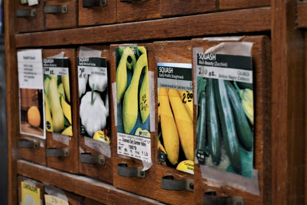 cabinet with pictures of plant and vegetable varieties taped on drawers