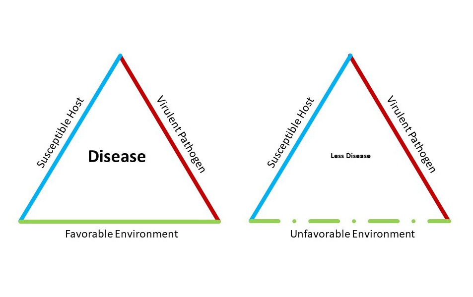 diagram of plant disease triangle