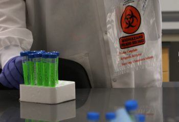 person wearing lab coat and gloves picks up test tubes to place in biohazard bag