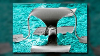 Electron micrograph of the tiny, table-shaped pressure sensor used in the study.