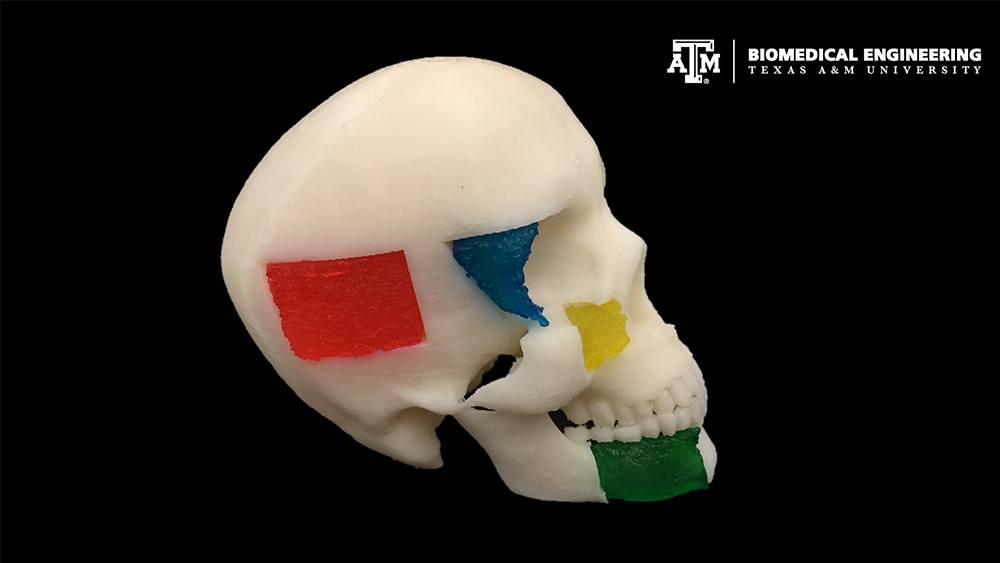 skill model printed with NICE ink