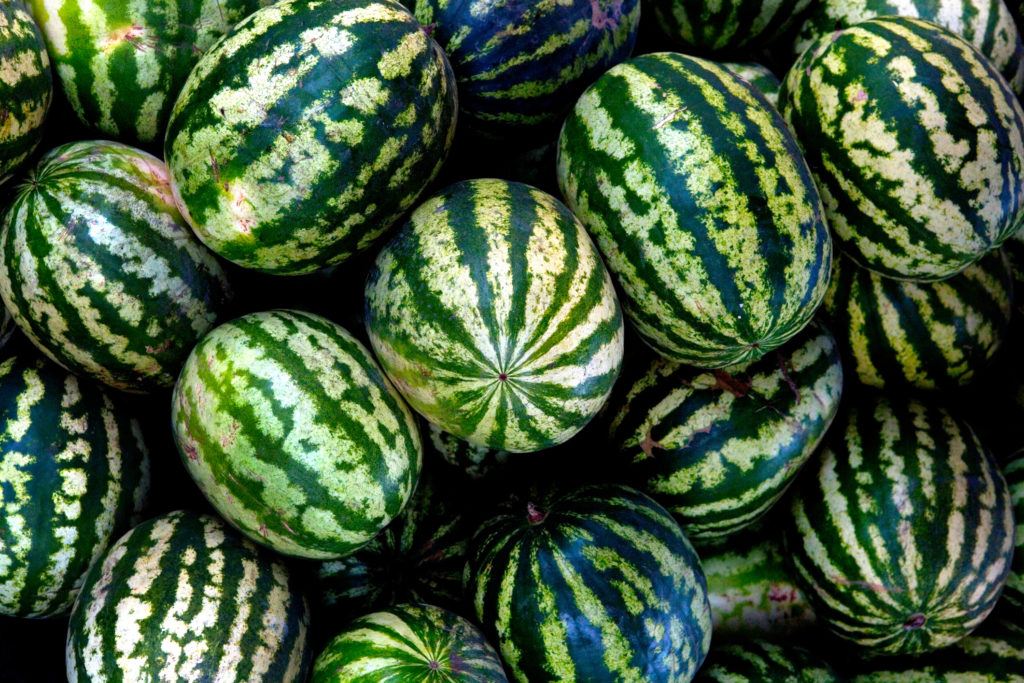 pile of green watermelons