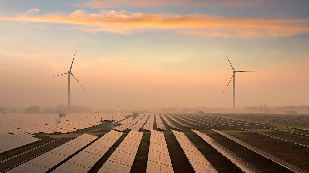 image of solar arrays in a field with two wind turbines