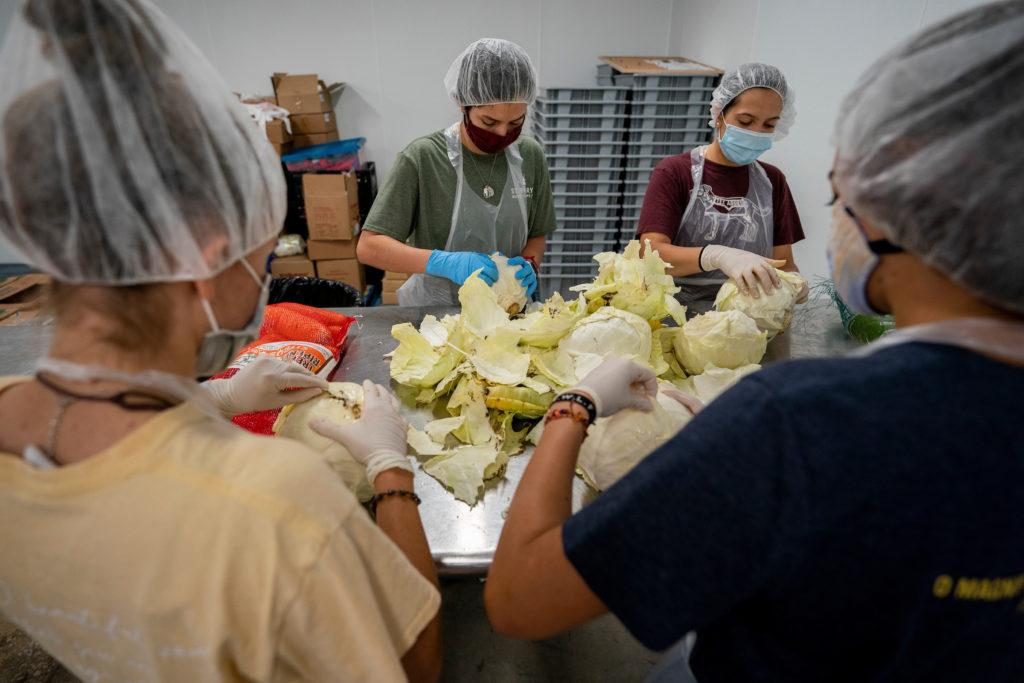 volunteers in masks and hear nets stand around a table shredding lettuce