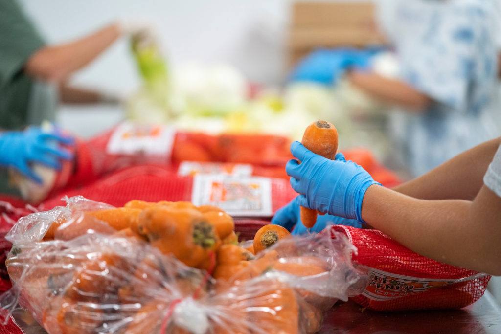 close up image of a pair of gloved hands picking up a carrot from a pile of produce