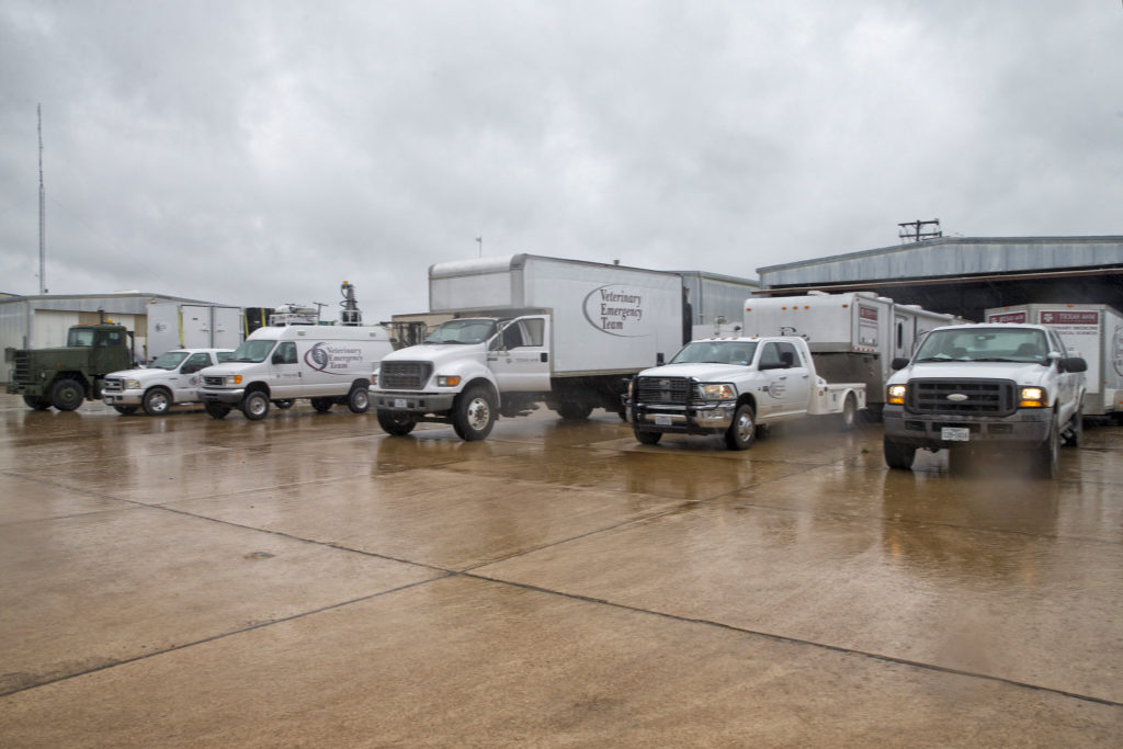 trucks lined up outside