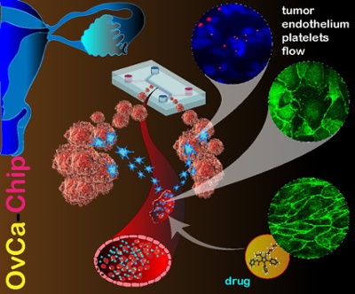 graphic illustrating how the device works